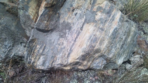 Гигантские зелёные валуны для ландшафтного дизайна весом более 5 тонн купить в Феодосии