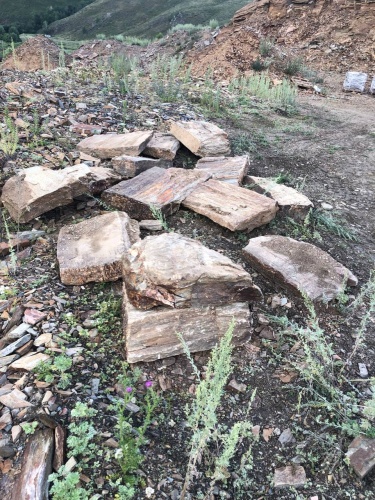 Плитняк кора дерева 50-100мм для пошаговых дорожек купить в Феодосии